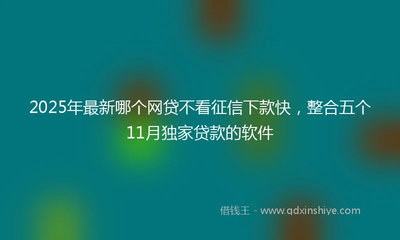 2025年最新哪个网贷不看征信下款快，整合五个11月独家贷款的软件