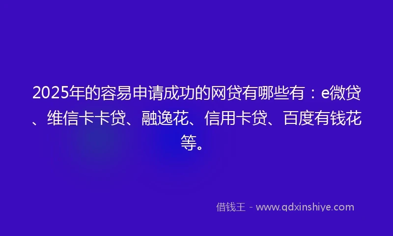 2025年的容易申请成功的网贷有哪些有：e微贷、维信卡卡贷、融逸花、信用卡贷、百度有钱花等。