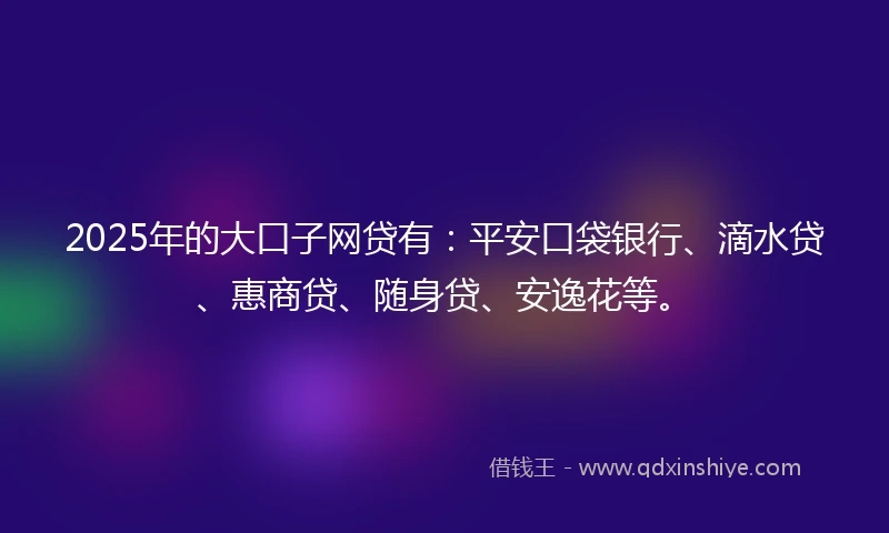 2025年的大口子网贷有：平安口袋银行、滴水贷、惠商贷、随身贷、安逸花等。