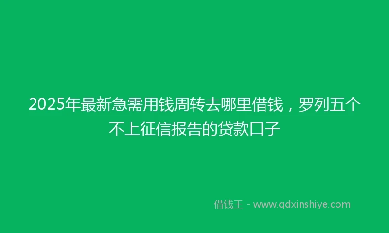2025年最新急需用钱周转去哪里借钱，罗列五个不上征信报告的贷款口子