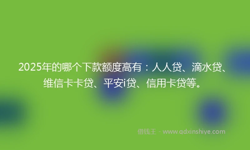 2025年的哪个下款额度高有：人人贷、滴水贷、维信卡卡贷、平安i贷、信用卡贷等。