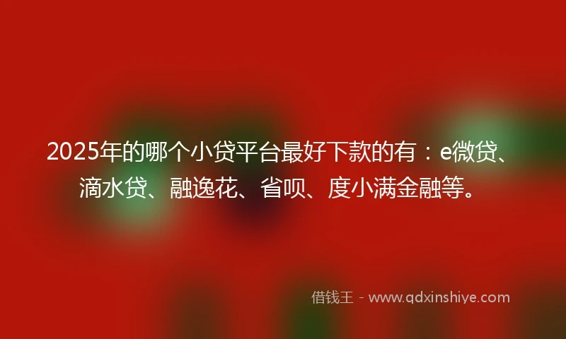 2025年的哪个小贷平台最好下款的有：e微贷、滴水贷、融逸花、省呗、度小满金融等。