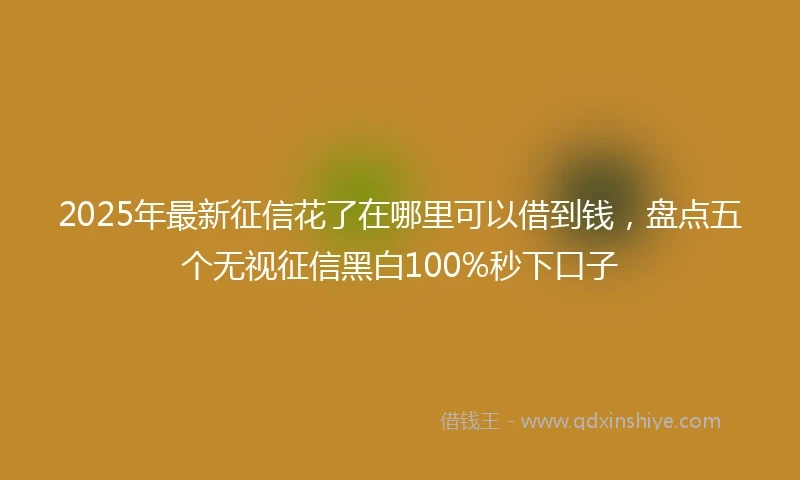 2025年最新征信花了在哪里可以借到钱，盘点五个无视征信黑白100%秒下口子