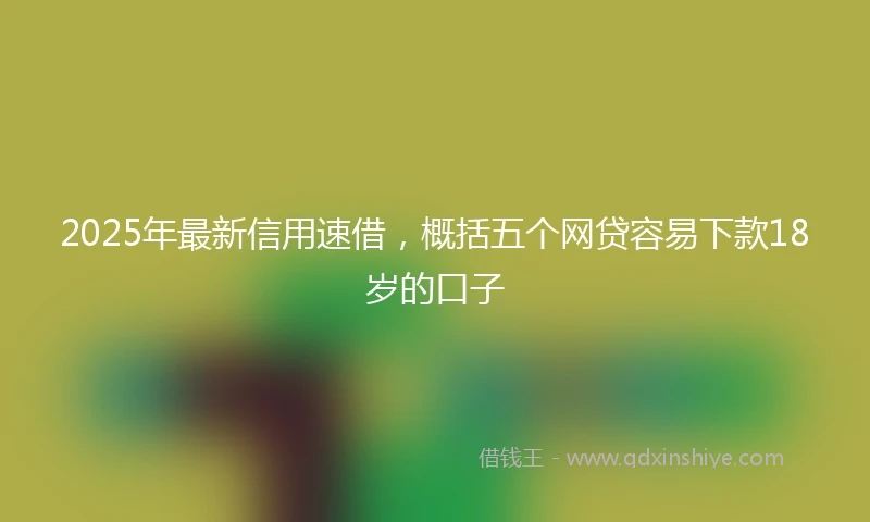 2025年最新信用速借，概括五个网贷容易下款18岁的口子