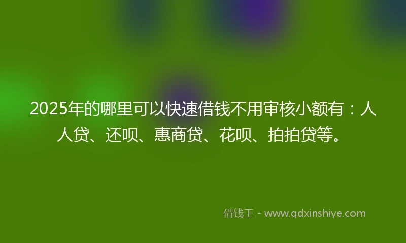 2025年的哪里可以快速借钱不用审核小额有：人人贷、还呗、惠商贷、花呗、拍拍贷等。