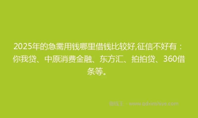 2025年的急需用钱哪里借钱比较好,征信不好有：你我贷、中原消费金融、东方汇、拍拍贷、360借条等。