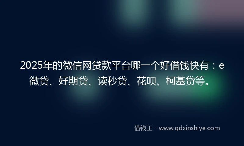 2025年的微信网贷款平台哪一个好借钱快有：e微贷、好期贷、读秒贷、花呗、柯基贷等。
