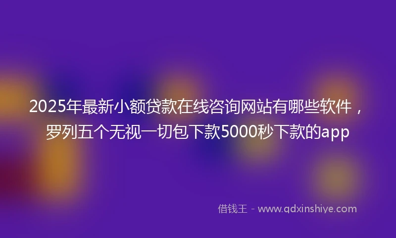 2025年最新小额贷款在线咨询网站有哪些软件，罗列五个无视一切包下款5000秒下款的app