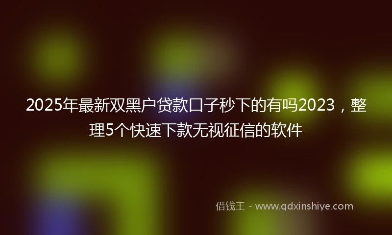 2025年最新双黑户贷款口子秒下的有吗2023，整理5个快速下款无视征信的软件