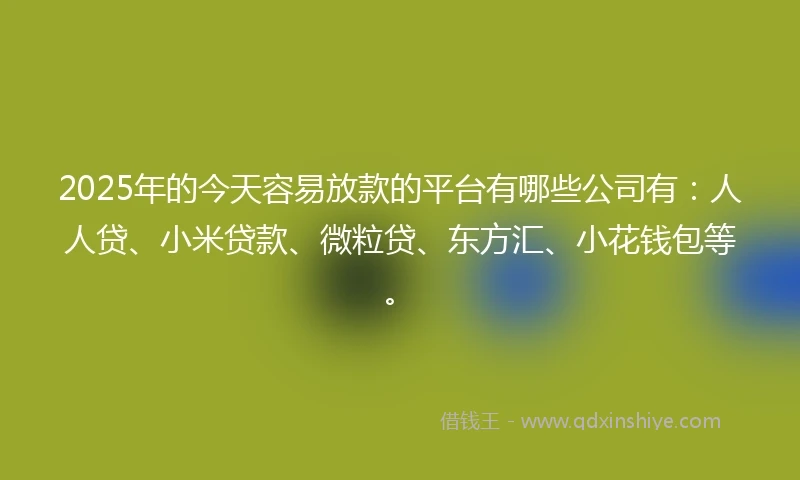 2025年的今天容易放款的平台有哪些公司有：人人贷、小米贷款、微粒贷、东方汇、小花钱包等。