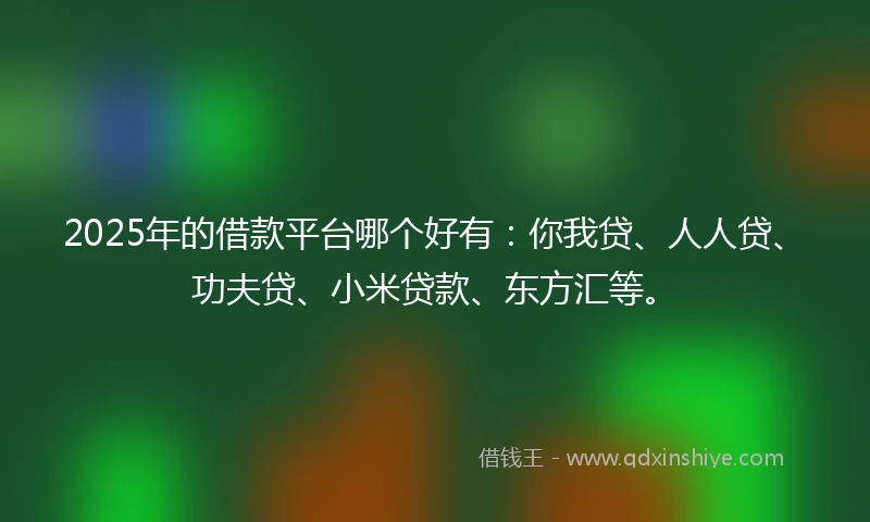 2025年的借款平台哪个好有：你我贷、人人贷、功夫贷、小米贷款、东方汇等。