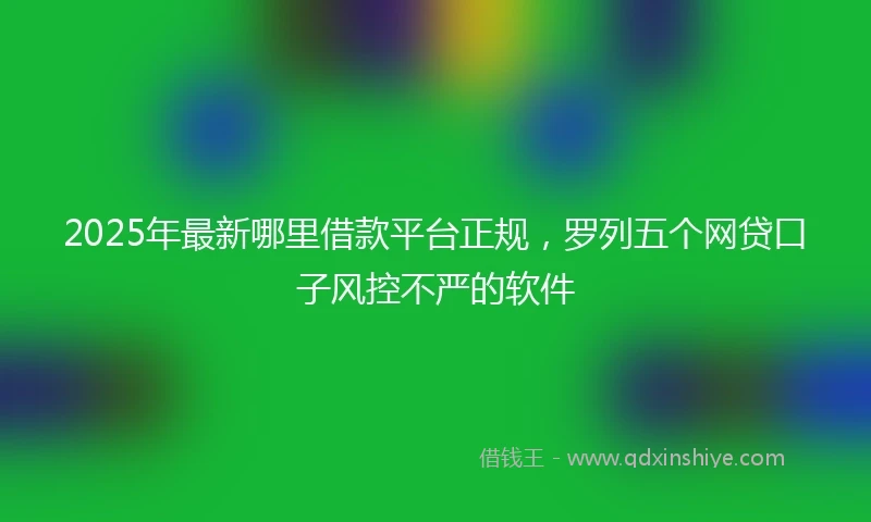 2025年最新哪里借款平台正规，罗列五个网贷口子风控不严的软件