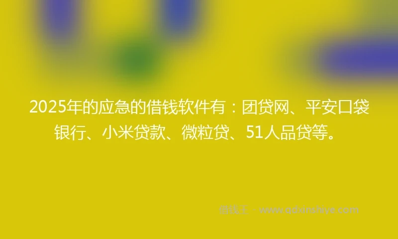 2025年的应急的借钱软件有：团贷网、平安口袋银行、小米贷款、微粒贷、51人品贷等。