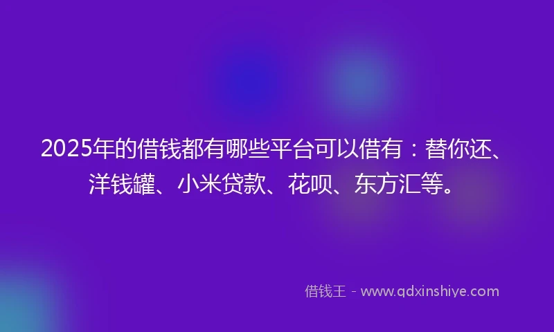 2025年的借钱都有哪些平台可以借有：替你还、洋钱罐、小米贷款、花呗、东方汇等。