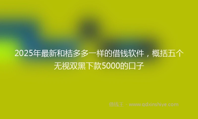 2025年最新和桔多多一样的借钱软件，概括五个无视双黑下款5000的口子