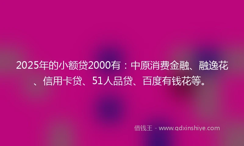 2025年的小额贷2000有：中原消费金融、融逸花、信用卡贷、51人品贷、百度有钱花等。