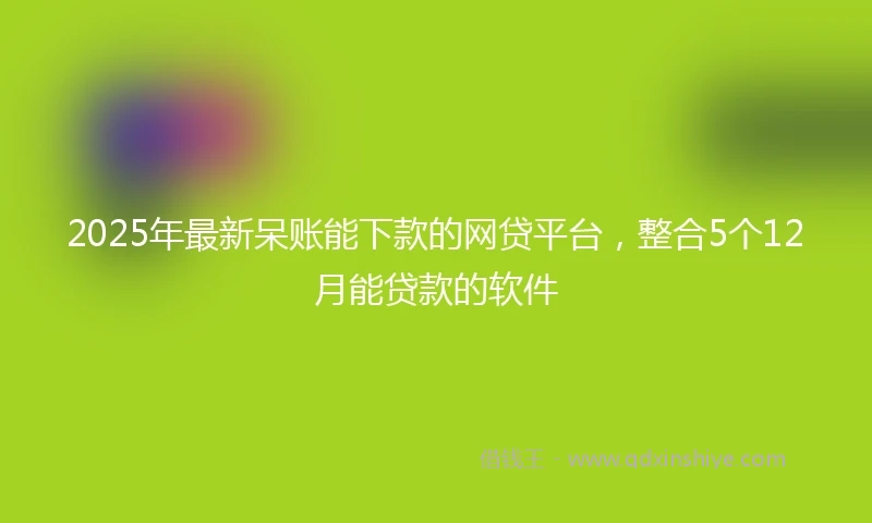 2025年最新呆账能下款的网贷平台，整合5个12月能贷款的软件
