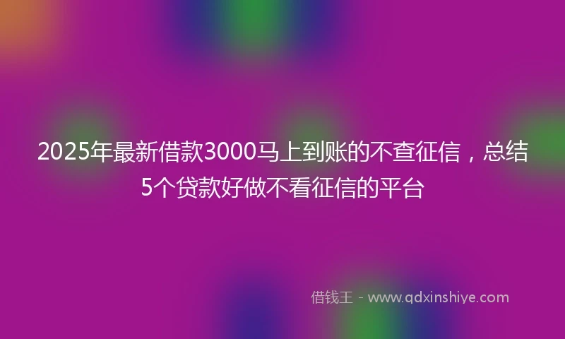 2025年最新借款3000马上到账的不查征信，总结5个贷款好做不看征信的平台