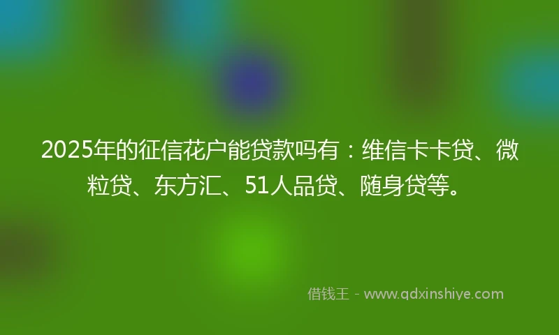 2025年的征信花户能贷款吗有：维信卡卡贷、微粒贷、东方汇、51人品贷、随身贷等。