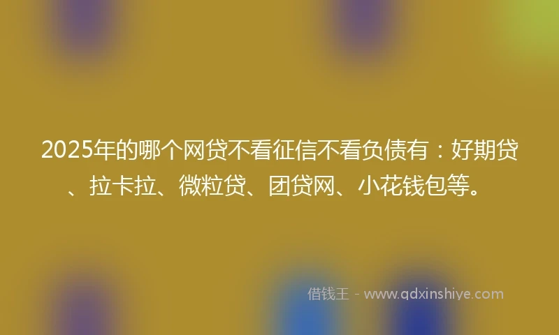2025年的哪个网贷不看征信不看负债有：好期贷、拉卡拉、微粒贷、团贷网、小花钱包等。
