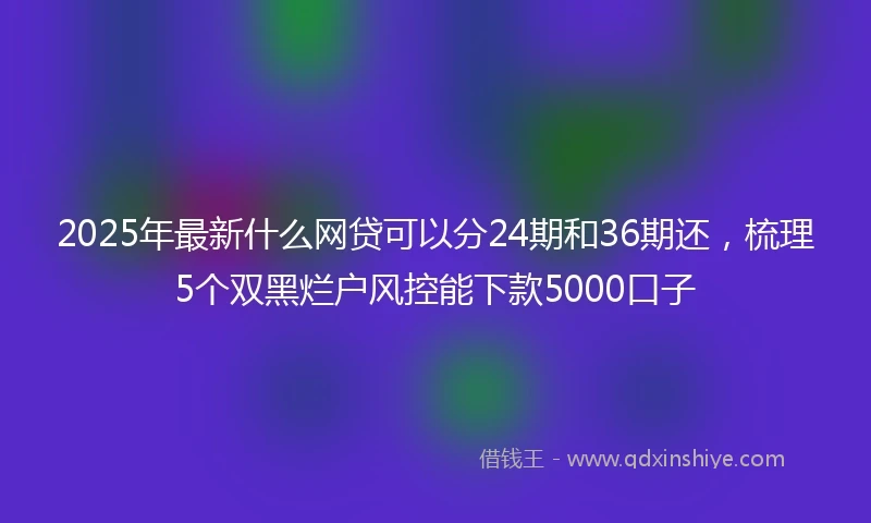 2025年最新什么网贷可以分24期和36期还，梳理5个双黑烂户风控能下款5000口子