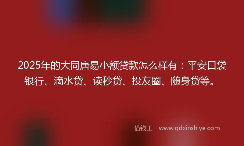 2025年的大同唐易小额贷款怎么样有：平安口袋银行、滴水贷、读秒贷、投友圈、随身贷等。
