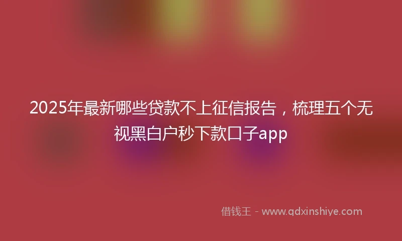 2025年最新哪些贷款不上征信报告，梳理五个无视黑白户秒下款口子app