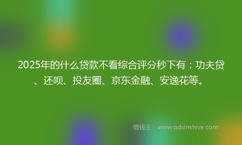2025年的什么贷款不看综合评分秒下有：功夫贷、还呗、投友圈、京东金融、安逸花等。