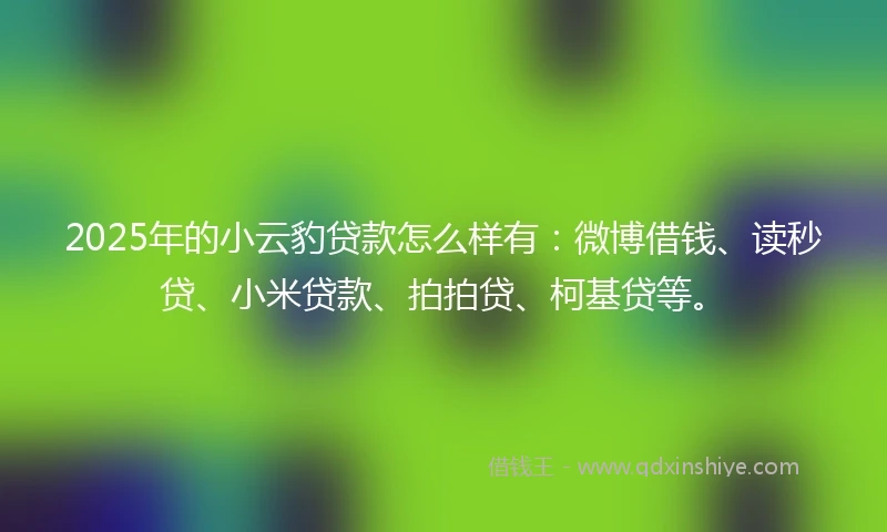 2025年的小云豹贷款怎么样有：微博借钱、读秒贷、小米贷款、拍拍贷、柯基贷等。
