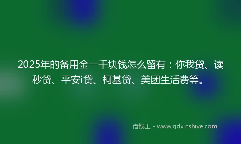 2025年的备用金一千块钱怎么留有：你我贷、读秒贷、平安i贷、柯基贷、美团生活费等。