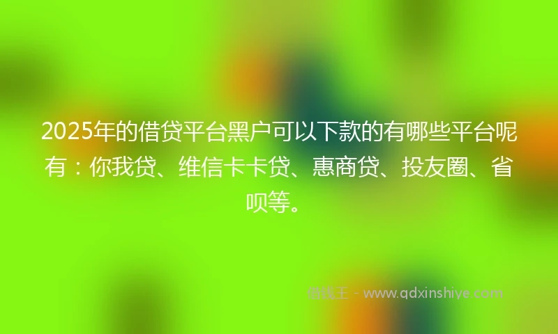 2025年的借贷平台黑户可以下款的有哪些平台呢有：你我贷、维信卡卡贷、惠商贷、投友圈、省呗等。