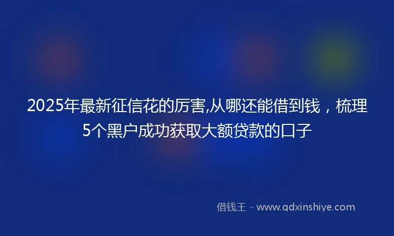 2025年最新征信花的厉害,从哪还能借到钱，梳理5个黑户成功获取大额贷款的口子