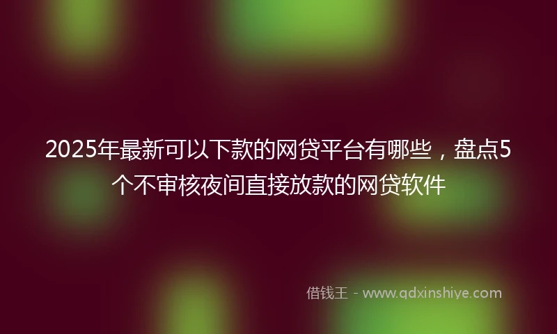 2025年最新可以下款的网贷平台有哪些，盘点5个不审核夜间直接放款的网贷软件