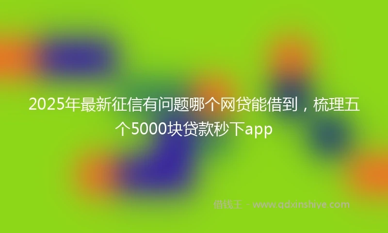 2025年最新征信有问题哪个网贷能借到，梳理五个5000块贷款秒下app