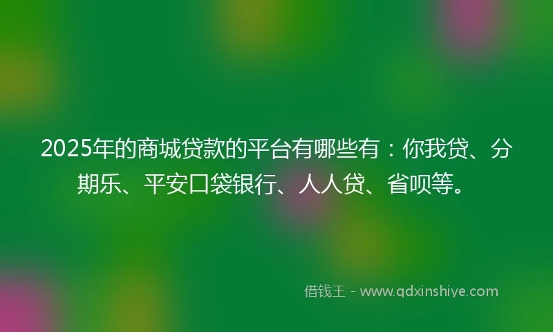 2025年的商城贷款的平台有哪些有：你我贷、分期乐、平安口袋银行、人人贷、省呗等。