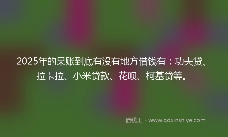 2025年的呆账到底有没有地方借钱有：功夫贷、拉卡拉、小米贷款、花呗、柯基贷等。