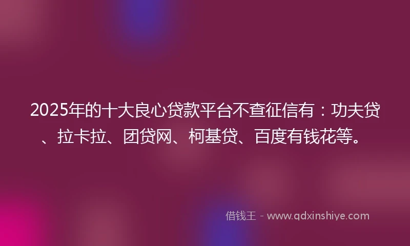 2025年的十大良心贷款平台不查征信有：功夫贷、拉卡拉、团贷网、柯基贷、百度有钱花等。
