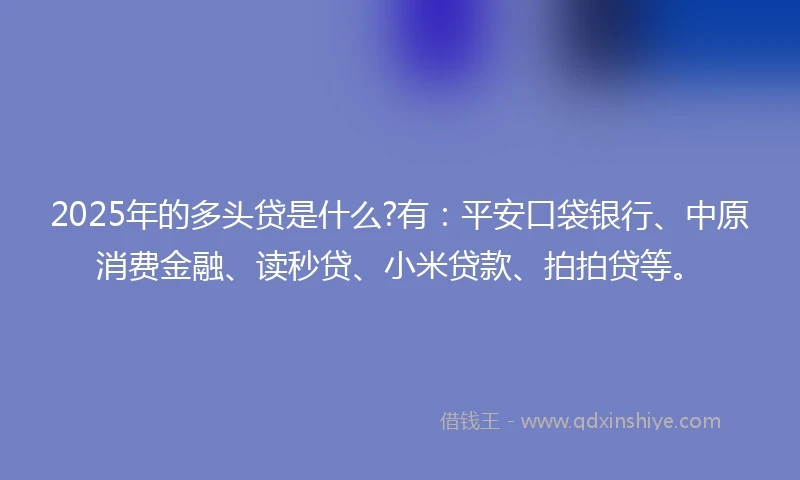 2025年的多头贷是什么?有：平安口袋银行、中原消费金融、读秒贷、小米贷款、拍拍贷等。