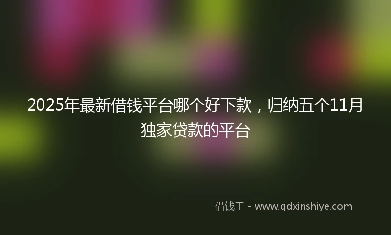 2025年最新借钱平台哪个好下款，归纳五个11月独家贷款的平台