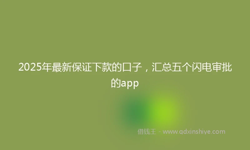2025年最新保证下款的口子，汇总五个闪电审批的app