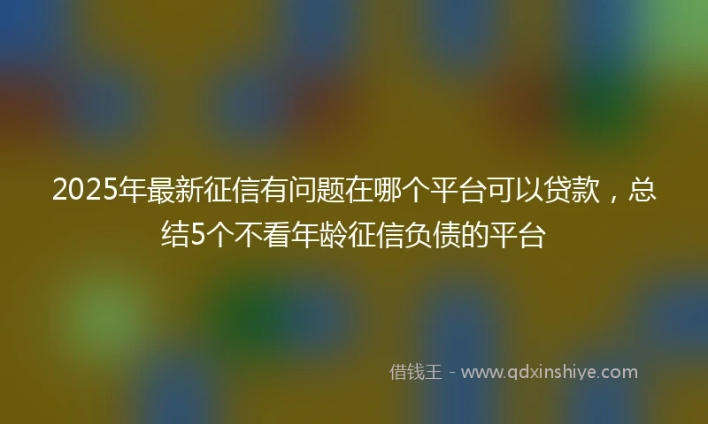 2025年最新征信有问题在哪个平台可以贷款，总结5个不看年龄征信负债的平台