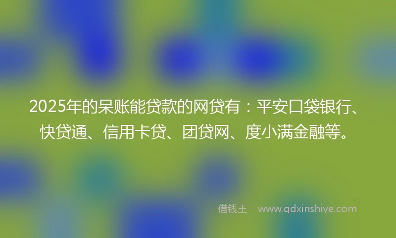 2025年的呆账能贷款的网贷有：平安口袋银行、快贷通、信用卡贷、团贷网、度小满金融等。