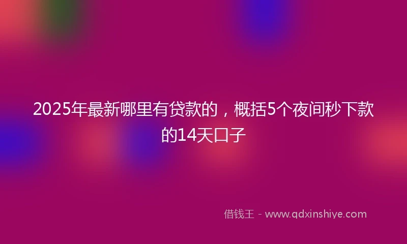 2025年最新哪里有贷款的，概括5个夜间秒下款的14天口子