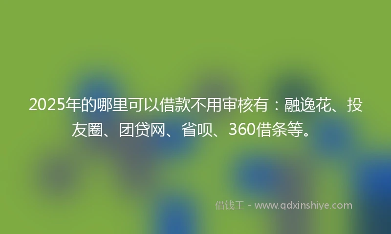 2025年的哪里可以借款不用审核有：融逸花、投友圈、团贷网、省呗、360借条等。