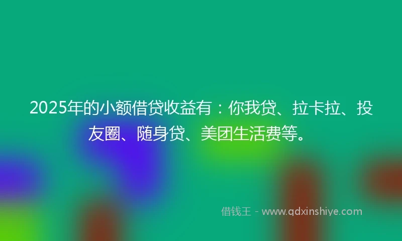 2025年的小额借贷收益有：你我贷、拉卡拉、投友圈、随身贷、美团生活费等。