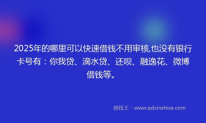 2025年的哪里可以快速借钱不用审核,也没有银行卡号有：你我贷、滴水贷、还呗、融逸花、微博借钱等。
