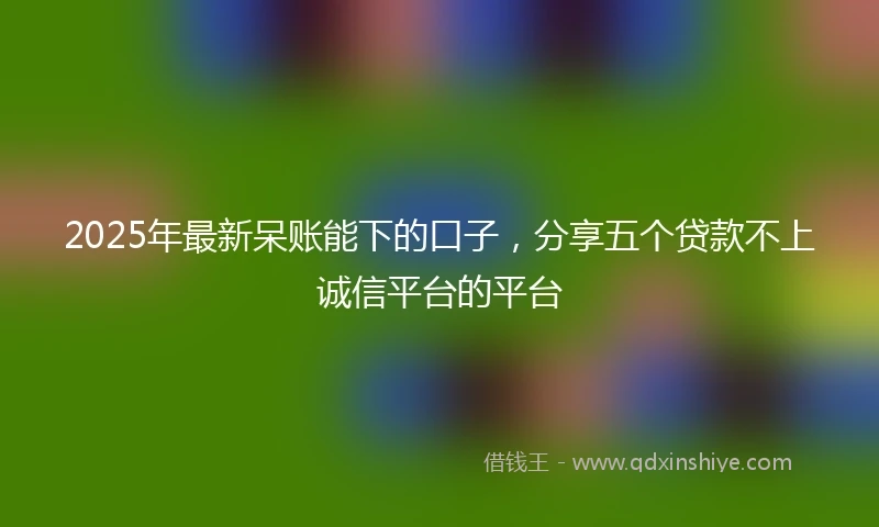 2025年最新呆账能下的口子，分享五个贷款不上诚信平台的平台