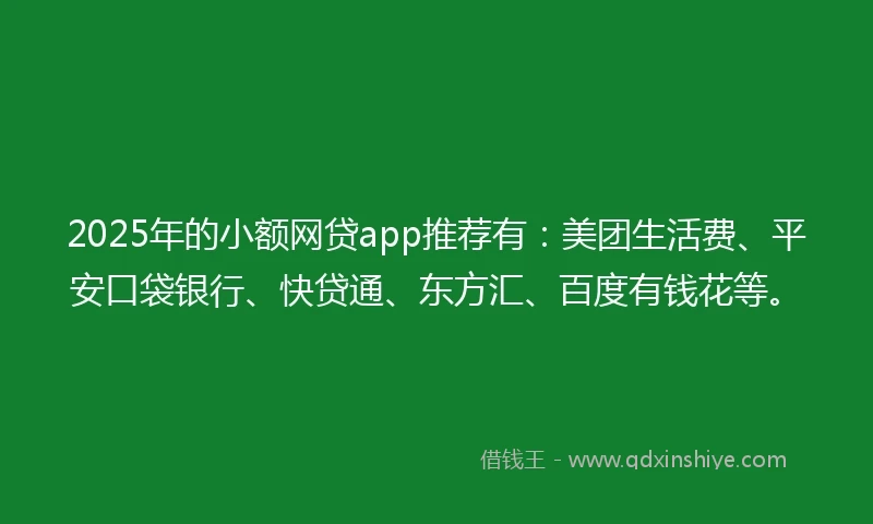 2025年的小额网贷app推荐有：美团生活费、平安口袋银行、快贷通、东方汇、百度有钱花等。