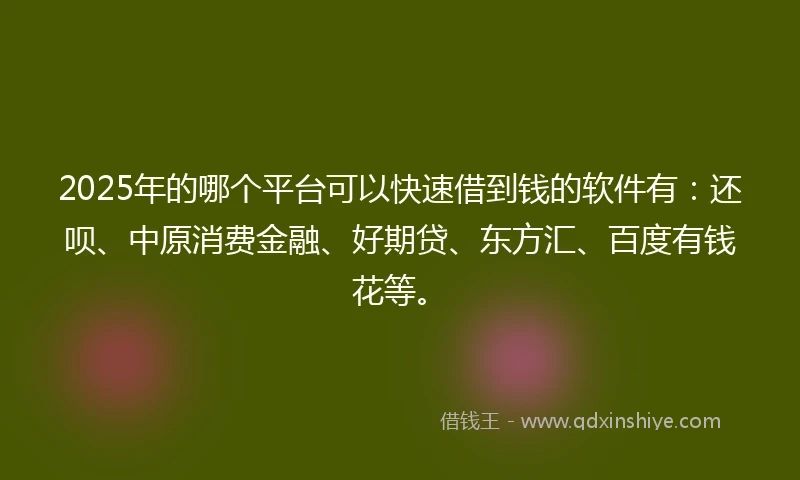 2025年的哪个平台可以快速借到钱的软件有：还呗、中原消费金融、好期贷、东方汇、百度有钱花等。