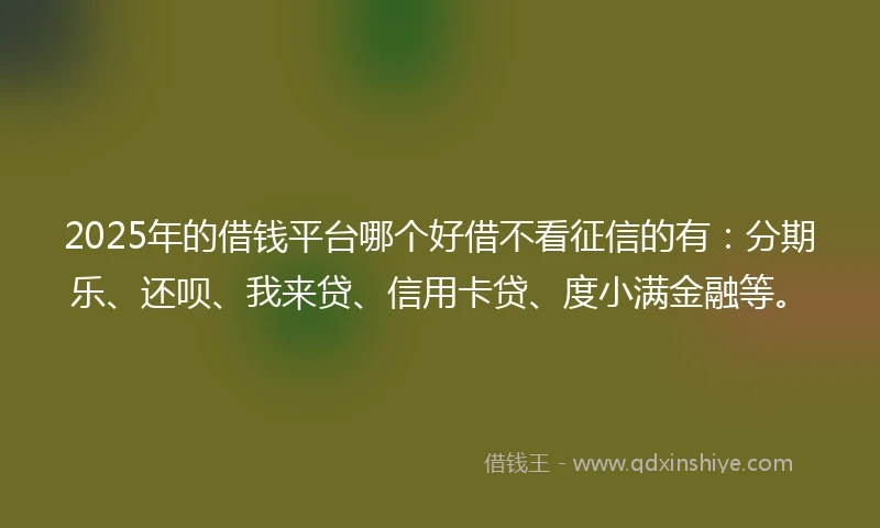 2025年的借钱平台哪个好借不看征信的有：分期乐、还呗、我来贷、信用卡贷、度小满金融等。
